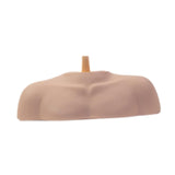 Maxbell Mannequin Head Stand Shoulder Model Styling Cosmetology Manikin Head Display Smooth Rod