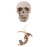 Maxbell Hanging Resin Terror Moon Skull and1:1Realistic Replica Human Skull