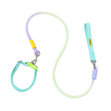 Maxbell Dog Leash for Small Medium Puppy Dog Training Walking Leash Beach Exercising Green