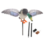 Maxbell Maxbell Mallard Drake Flapping Wing Motion Motorized Duck Decoy for Outdoor Decor Male