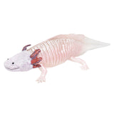 Maxbell PVC Salamander Figure Simulated Salamander Toy for Toddlers Gift Party Favor Pink