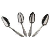 Maxbell Stainless Steel Bird Parrot Feeding Spoon,Feeding  Milk Medicine Spoons