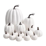 Maxbell 14x Artificial Pumpkins Fall Season Decorative Wedding Assorted Thanksgiving White
