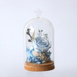 Maxbell 5x Clear Glass Bell Cover Pot Landscape Terrarium Container Lid Vase Bottle