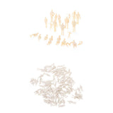 Maxbell 20 Unpainted Model Train Figures mixed poses scenery layout 1:30+100 People 1:75