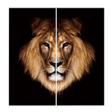 Maxbell Set of 2 Panels Digital Photo Printing 3D Curtains Aminals Brown Lion - Aladdin Shoppers