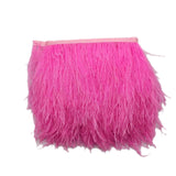 Maxbell 2pcs Ostrich Feather Fringe Trim Costume Sewing Crafts Decorations