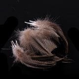 Maxbell 20pcs Natural Pheasant Feathers for Craft Mask Hat