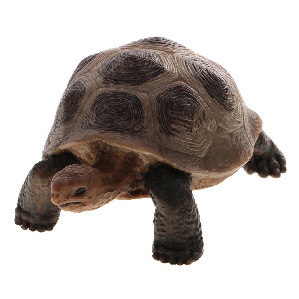 Maxbell Maxbell Realistic Animal Model Figurine Action Figures Educational Toy Tortoise #1