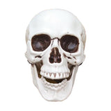 Maxbell Horrible Stimulation Skeleton Skull Plastic Halloween Decoration Prop