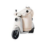 Windproof Leg Cover, Waterproof, Plush Lining, Winter Riding Warm Beige Thickened