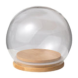 Maxbell Maxbell Clear Display Dome with Wooden Base Dustproof for Plant Office Counter Tops 10cm