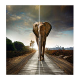 Maxbell Set of 2 Panels Digital Photo Printing 3D Curtains Aminals Elephant - Aladdin Shoppers