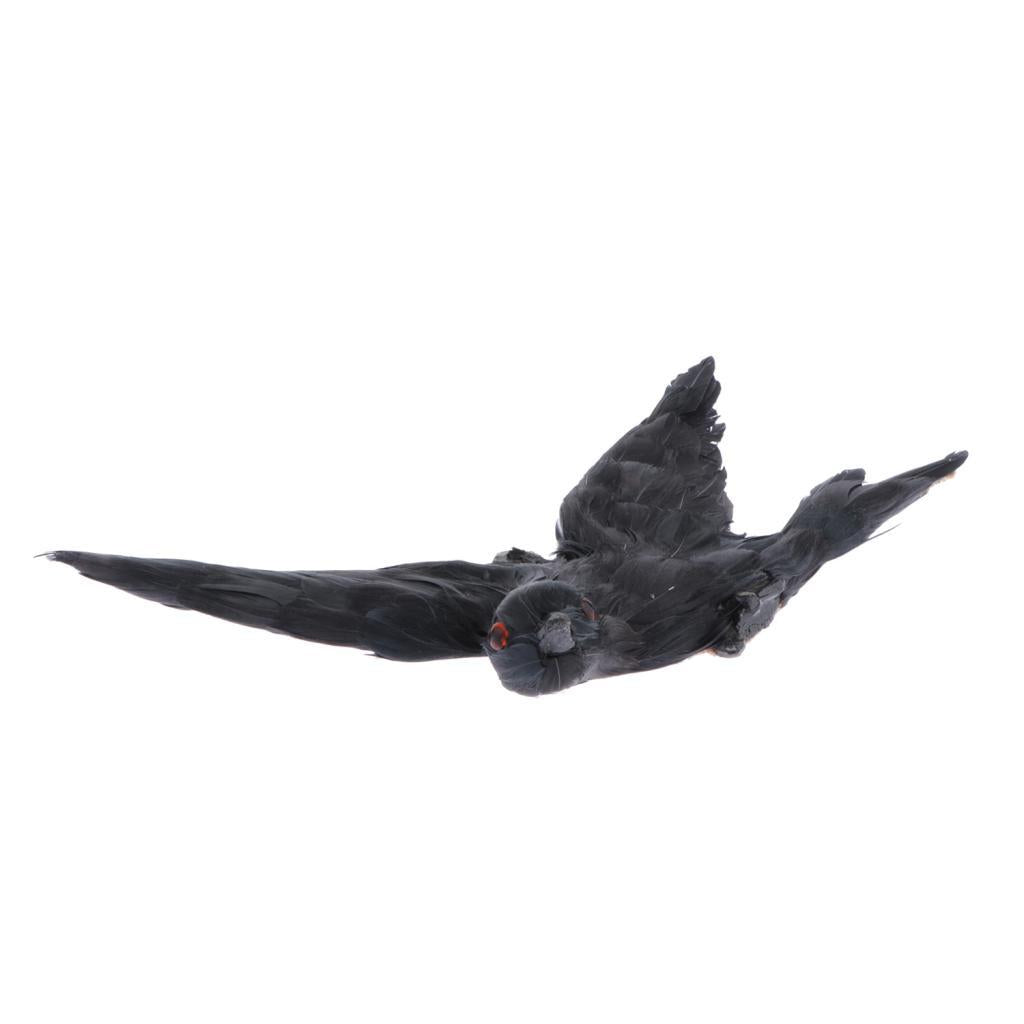 Maxbell Maxbell Simulation Feathered Swallow Bird Model Statue Kids Toy Home Decor Black