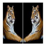 Maxbell Set of 2 Panels Digital Photo Printing 3D Curtains Aminals Yellow Tiger - Aladdin Shoppers
