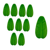 10Pcs Simulated Banana Leaf Decorative Placemat Green Simulation Leaves Pack S