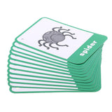 Maxbell Flash Cards - Educational Learning Picture & Word Card Insect - 12Pieces - Aladdin Shoppers
