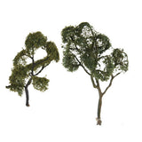 Maxbell Maple Trees Model Ash Trees Scenery Landscape Model Architecture Building