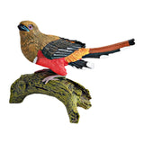 Maxbell Realistic Bird Figure Educational Toy Animal Figure for Desktop Balcony Yard Khaki Head