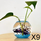 Maxbell 9xClear Glass Flower Planter Vase Terrarium Container Fish Tank Table Decor