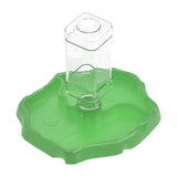 Maxbell Reptile Feeder Sturdy Gifts Reptile Food Dish for Lizard Reptiles Amphibians Dark Green