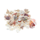 Maxbell Maxbell Natural Aquarium Fish Tank Decoration Simulation Sea Shells Conch Ornaments
