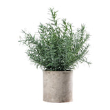 Maxbell Artificial Small Potted Plants for Desktop Ornament Desk Tabletop Decoration Hedychium Diffusum