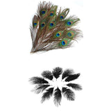 Maxbell 20 Pcs Peacock Ostrich Eye Tail Feathers for Craft Mask Hat 9-13 Inch