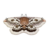 Halloween Butterfly Cape Decorative kids for Role Playing Party Performance coffee 145cm