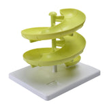 Maxbell Spiral Egg Dispenser Modern Egg Dispenser for Pantry Counter Kitchen
