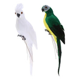 Maxbell 2x Realistic Macaw Parrot Artificial Feather Bird Animal Ornament Toy