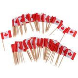 100 Pieces Decorative Flag Toothpicks Party Food Decorations Canada