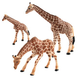 3PCS Simulation Plastic Wildlife Animal Giraffe Model Action Figurine Collectibles Science Nature Toy - Aladdin Shoppers