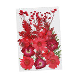 Dried Pressed Flowers Mixed Decorative for Nail Art Candle Soap Making Epoxy Red