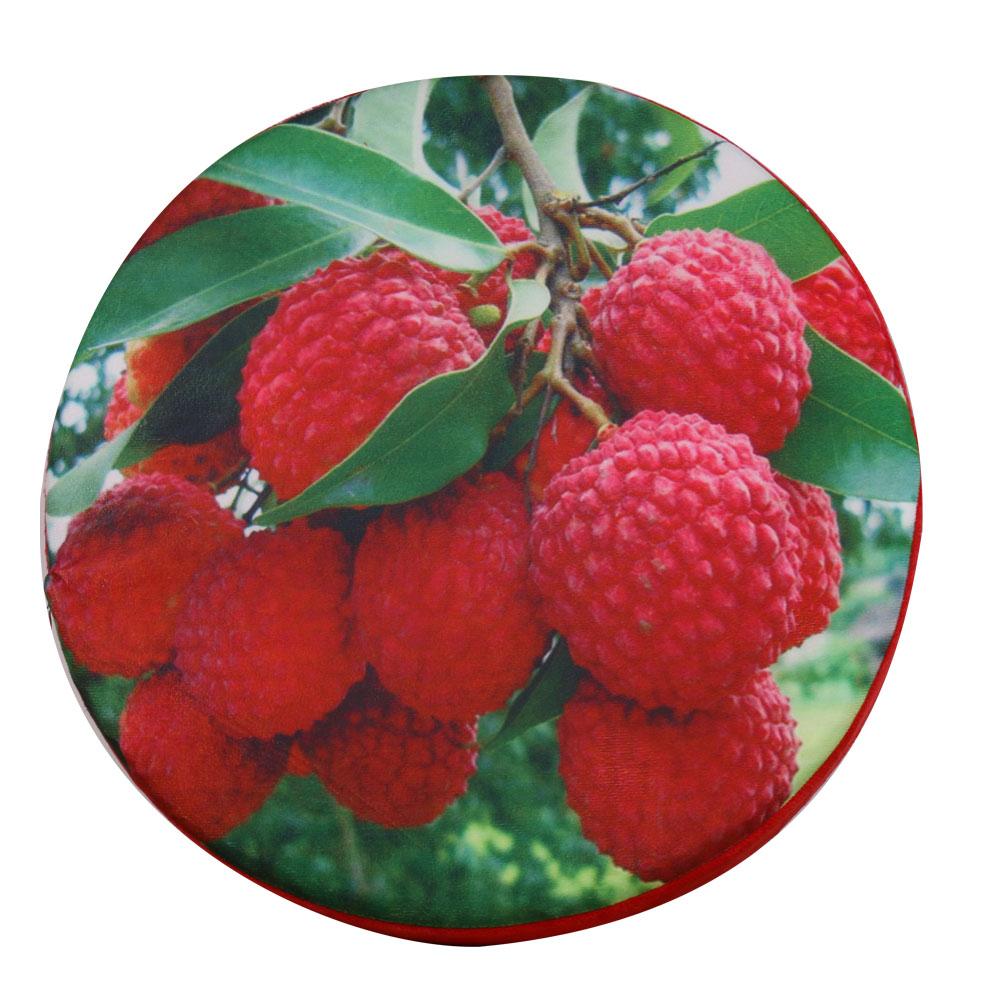 Maxbell 3D Fruit Print Cushion Home Chair Car Seat Back Pad Sofa Throw Pillow-Litchi