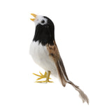 Maxbell Set 2 Artificial Small Bird Realistic ORNAMENTS Feather Taxidermy Tree Decor