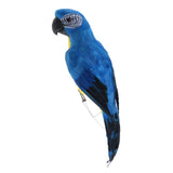 Maxbell Blue & Red Bird Feather Realistic Home Garden Decor Ornament Parrot Bird