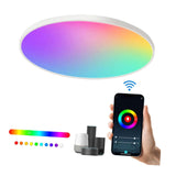Maxbell Smart Ceiling Light Flush Mount Lighting Fixture for Bedroom Kitchen Ceiling