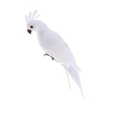 Maxbell 2pcs Artificial Parrot Bird Realistic Home Decor Budgie Taxidermy