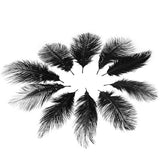 Maxbell 20 Pcs Peacock Ostrich Eye Tail Feathers for Craft Mask Hat 9-13 Inch