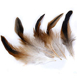 Maxbell 2X 50pcs Natural Rooster Feathers DIY Hat Fascinator Making