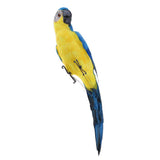 Maxbell 2pcs Artificial Parrot Bird Realistic Home Decor Budgie Taxidermy