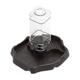 Maxbell Reptile Waterer Turtle Food and Water Bowl Automatic Feeder Reptile Drinking Dark Coffee