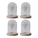 4 Pieces Glass Cloche Dome Clear Holder Tabletop Ornament Mini Bell Jar Dome Light Brown