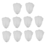 15x10 Pieces Ostrich Feathers Lightweight 25-30cm for Christmas