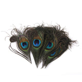 Maxbell 20pcs Natural Peacock Body Plumage & Tail Feathers Craft Mask Millinery Decor