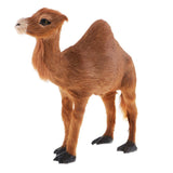 Maxbell Simulation Plush Animal Pet Model Camel Model Figure Children Toy Home Decor - Aladdin Shoppers