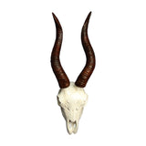 Maxbell Skull Animal Head Wall Sculpture Faux Animal Skull Wall Sculpture for Office Sheep