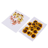 Maxbell 40 Pieces Real Pressed Dried Flowers DIY Art Crafts Scrapbooking Card Making