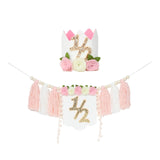 Maxbell Half Birthday Highchair Banner Backdrop Decor for Photo Prop Gift Boys Girls Pink With Hat
